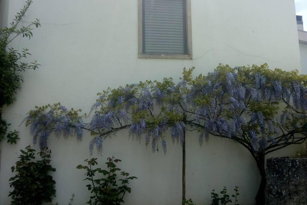 Casa Da Oliveira Apartment Milhão Exterior photo